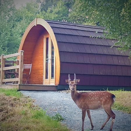 Hotel Glendalough Glamping - Adults Only Laragh Exterior foto