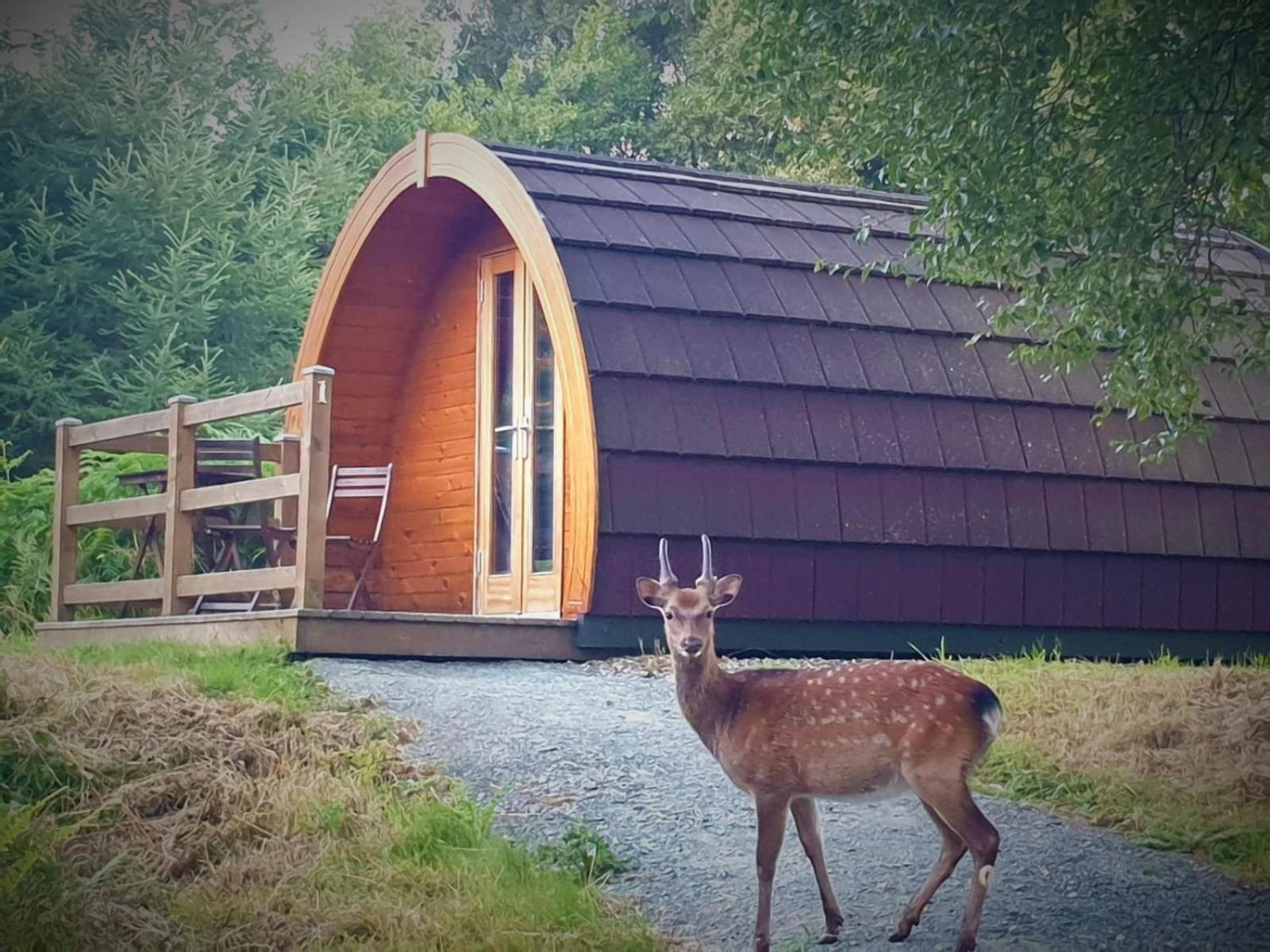 Hotel Glendalough Glamping - Adults Only Laragh Exterior foto