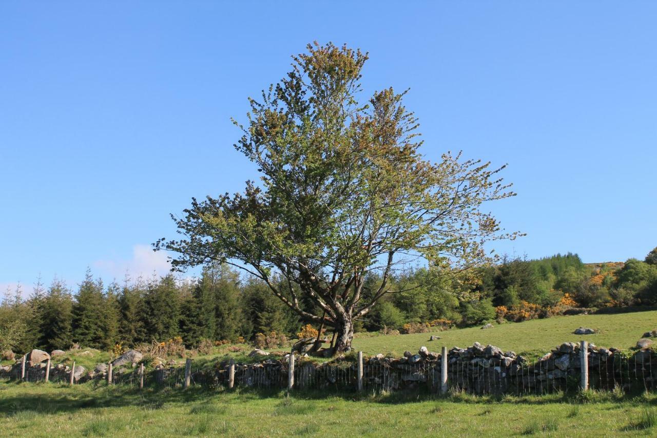 Hotel Glendalough Glamping - Adults Only Laragh Exterior foto